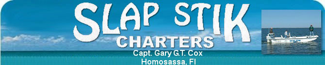 Homosassa fishing guides, Homosassa fishing charters, Homosassa Springs fishing guides, Homosassa fishing, redfishing Homosassa, trout fishing homosassa